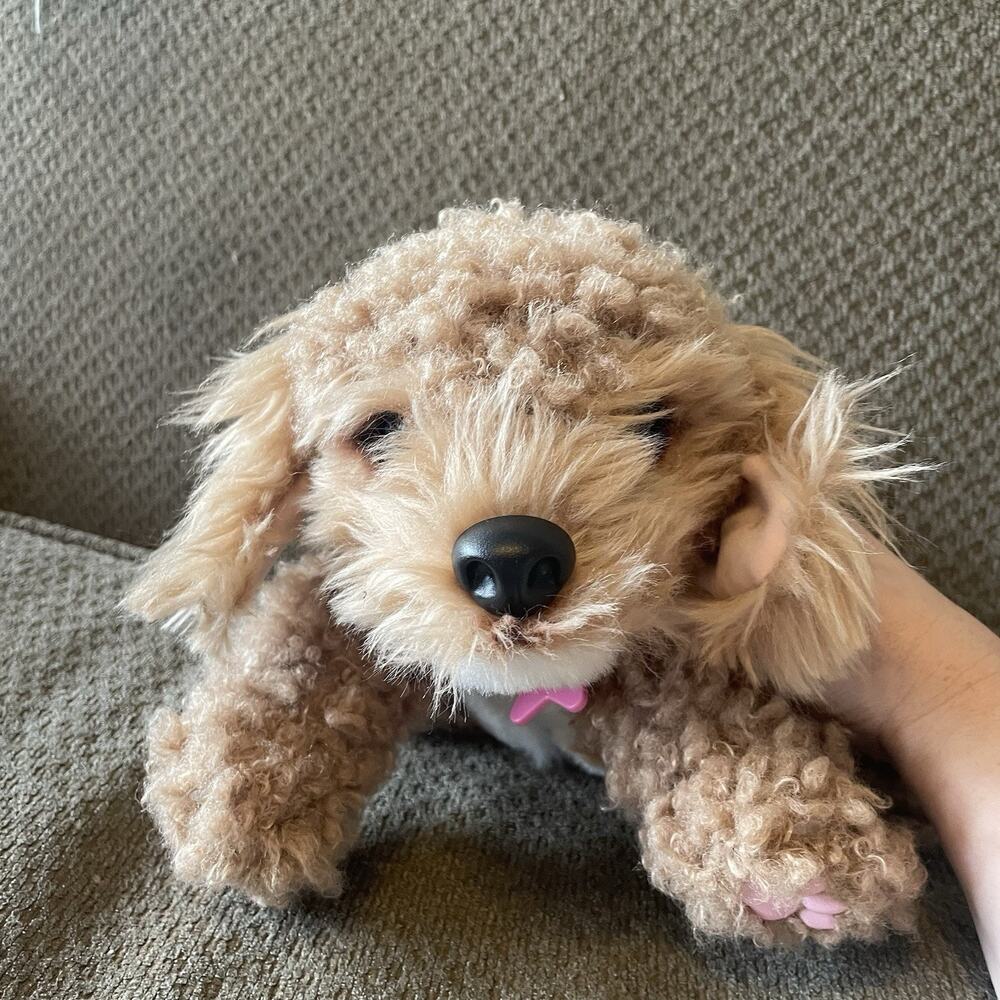 Little Live Pets My Really Real Puppy Curley Cavoodle Doodle Golden Dog WORKS! - Picture 7 of 11
